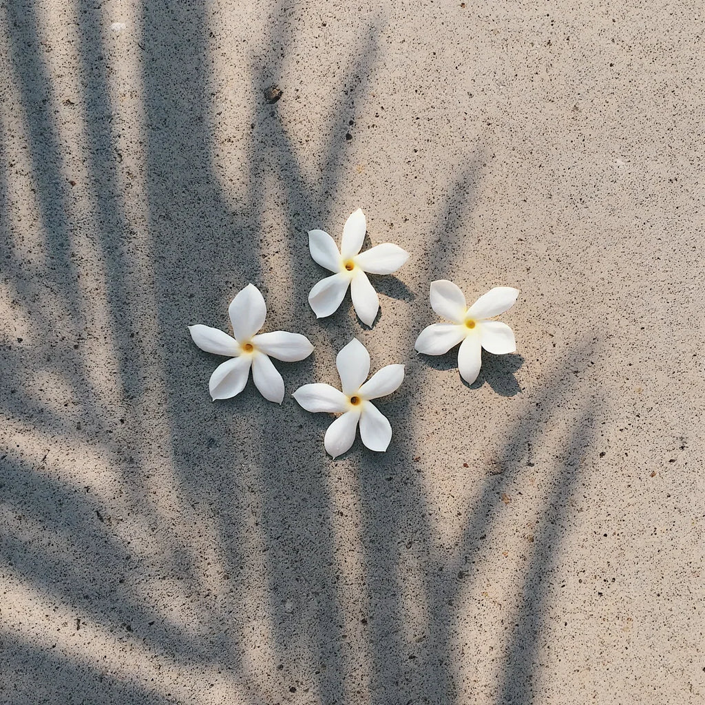 Pikake Jasmine Hydrating Body & Hair Mist - UA Body